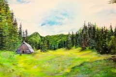 (obraz 06) akryl na płótnie werniksowany - rozmiar 70x50