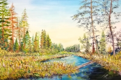 (obraz 08)akryl na płótnie werniksowany - rozmiar 70x50