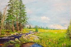 ( obraz 01) akryl na płótnie werniksowany -rozmiar 50x40