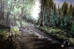 (obraz 40)  Akryl na płótnie 70 x 50 cm werniksowany. (Brak)